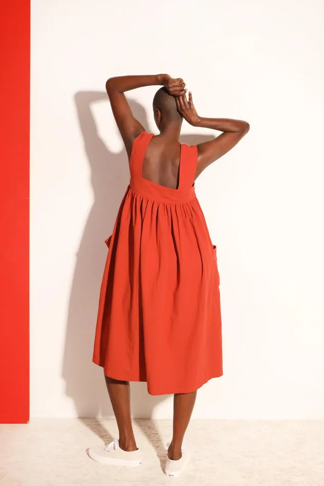 Cameron Dress Brick Red Womens LF Markey Dresses