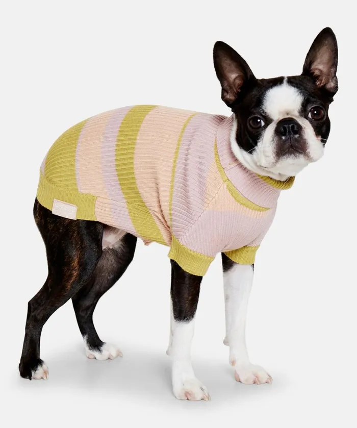Dog Knit 8211 Moss Accessories Ilse Jacobsen Vov and Vuf