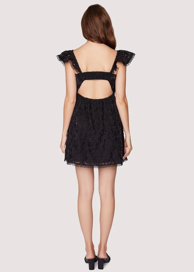 Madonna Blossom Organza Mini Dress Black Women Lost Wander Dresses
