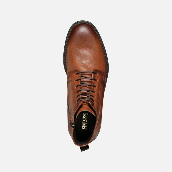 Man Geox Ankle Boots TIBERIO MAN Cognac Ankle Boots With Laces Cognac