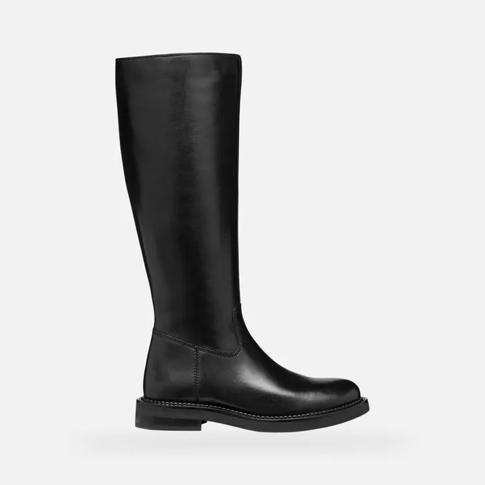 Woman Geox Boots SERILDA WOMAN Black Leather Boots Black