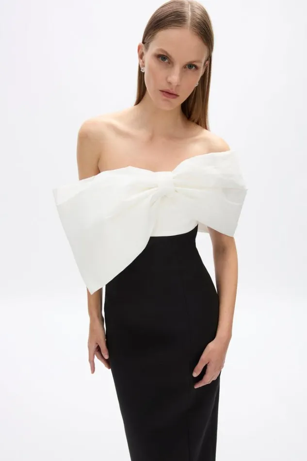 Women Black Dresses Rachel Gilbert Kace Gown In BlackIvory Women Black Dresses Rachel Gilbert Kace Gown In BlackIvory