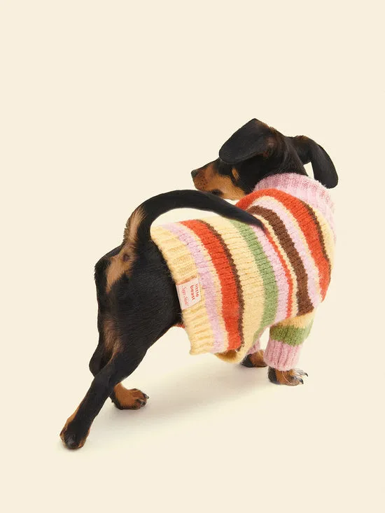 Women Lisa Says Gah Dog Sweater Pink Stripe Pet
