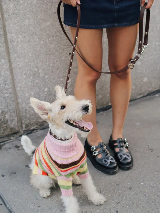 Women Lisa Says Gah Dog Sweater Pink Stripe Pet
