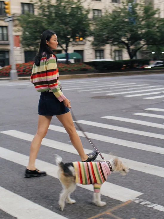 Women Lisa Says Gah Dog Sweater Pink Stripe Pet