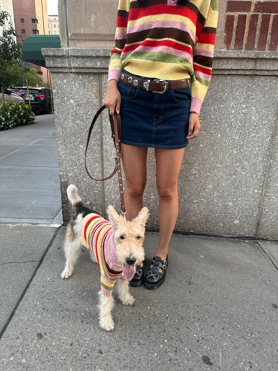 Women Lisa Says Gah Dog Sweater Pink Stripe Pet