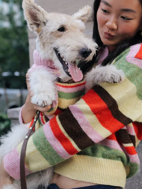 Women Lisa Says Gah Dog Sweater Pink Stripe Pet